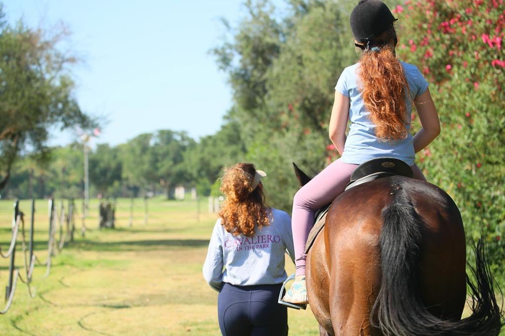 חוות הסוסים